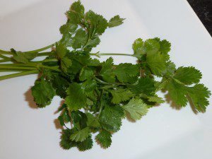 coriander leaves