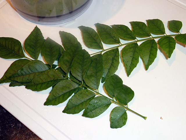 curry leaves